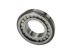 Ford Mustang Transmission Cylindrical Bearings