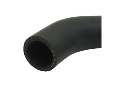 Acura 19502-RK2-A00 Hose, Water (Lower)