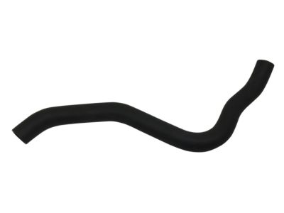 Acura 19502-RK2-A00 Hose, Water (Lower)