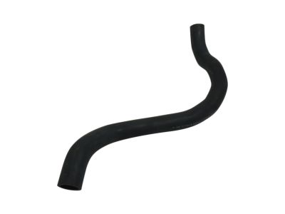 Acura 19502-RK2-A00 Hose, Water (Lower)