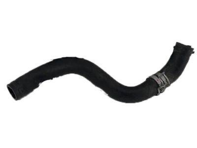 Acura 19502-RDF-A00 Hose, Water Lower