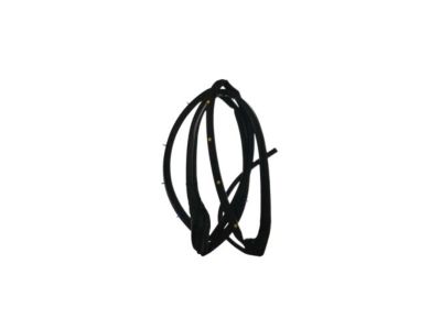 Acura 72350-TL0-J01 Weatherstrip, Left Front Door