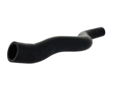 Acura 19501-RYE-A10 Hose, Water Upper