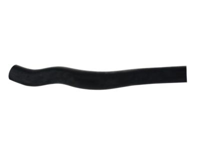 Acura 19501-RYE-A10 Hose, Water Upper