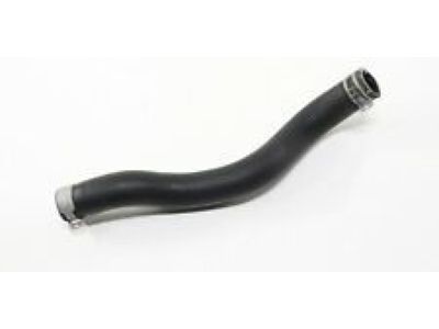 Acura 19501-58K-H00 Hose, Water (Upper)