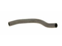 OEM Acura Hose, Water (Lower) - 19506-RL5-A01