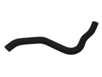 OEM 2013 Acura TL Hose, Water (Lower) - 19502-RK2-A00