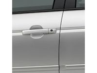 OEM 2007 Acura TL Door Edge Trim (Carbon Bronze Pearl - Exterior) - 08P20-SEP-2B0