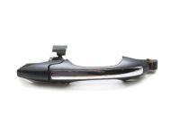 OEM 2007 Acura RL Handle Complete Driver Side (Lakeshore Silver Metallic) - 72181-SJA-A04ZG