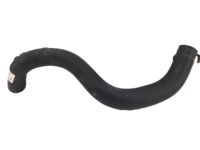 OEM 2020 Acura ILX Hose, Water Lower - 19502-R4H-A00