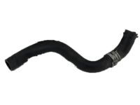 OEM 2019 Acura TLX Hose, Water Lower - 19502-RDF-A00