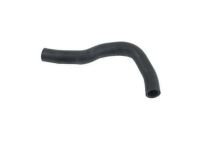 OEM Hose, Water (Upper) - 19501-PND-000