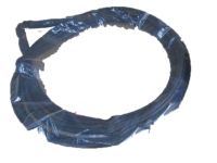 OEM 2003 Acura RSX Weatherstrip, Right Front Door - 72310-S6M-003