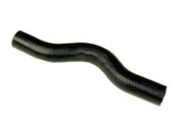 OEM 1997 Acura RL Hose, Water (Upper) - 19501-PY3-000