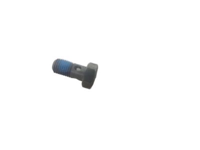 BMW 07-11-9-917-511 Hollow Bolt