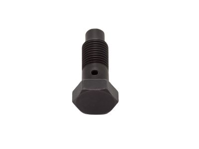 BMW 11-36-7-832-139 Hollow Bolt