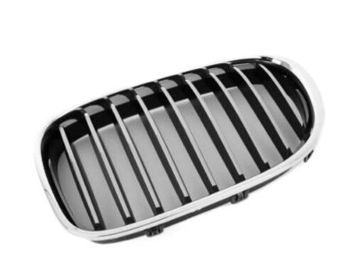 BMW 51-11-7-295-297 Grille, Front, Left