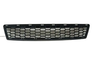 BMW 51-11-8-048-097 Grille, Middle Bottom