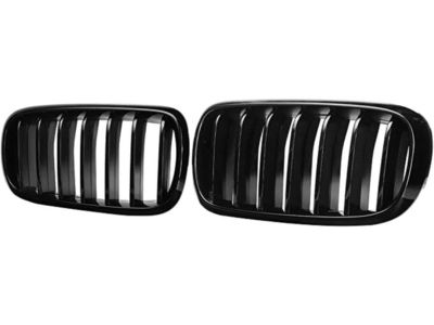 BMW 51-71-2-334-708 Driver Side Kidney Grille