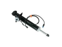 OEM BMW X6 Rear Left Shock Absorber - 37-10-6-875-089