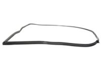 OEM 1988 BMW M6 Door Weatherstrip, Right - 51-21-1-861-502