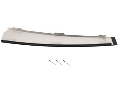 Ford 1L1Z-7820982-AA Upper Molding