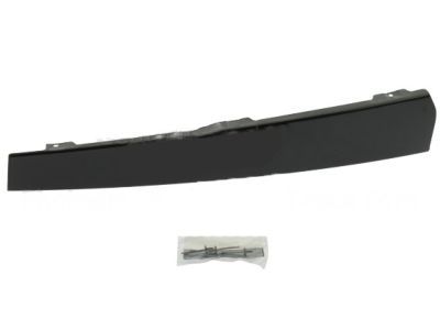 Ford 1L1Z-7820982-AA Upper Molding