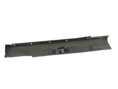 Ford AM5Z-5810176-C Rocker Molding