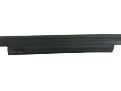 Ford AM5Z-5810176-C Rocker Molding