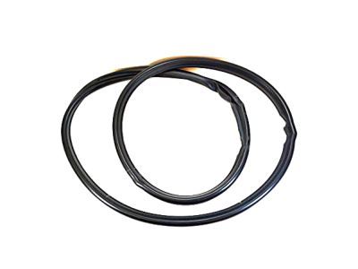 Ford 8L8Z-7825324-D Weatherstrip On Body