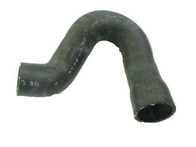 Ford E9TZ8286D Lower Hose