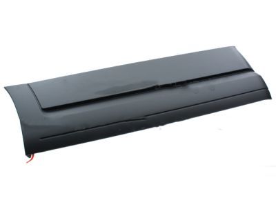 Ford 7L1Z-7825556-BA Body Side Molding