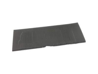 Ford GL3Z-1613228-AA Scuff Plate