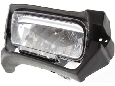 Ford 8W3Z-15200-A Fog Lamp Assembly