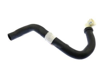 Ford JL3Z-8286-A Lower Hose