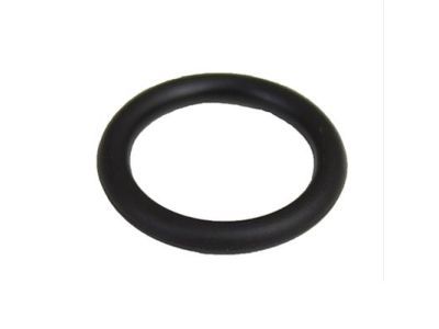 Ford 6E5Z-19E889-A AC Line O-Ring