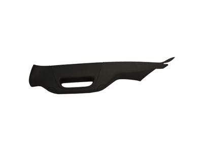 Ford BC3Z-2503599-AB Weatherstrip Pillar Trim