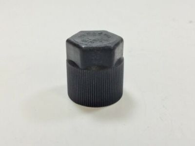 Ford F7RZ-19D702-AA AC Tube Cap