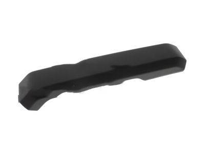 Ford FL3Z-16275A18-AA Armrest Cover