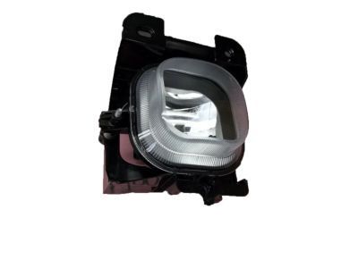 Ford 4L5Z-15200-BB Fog Lamp Assembly