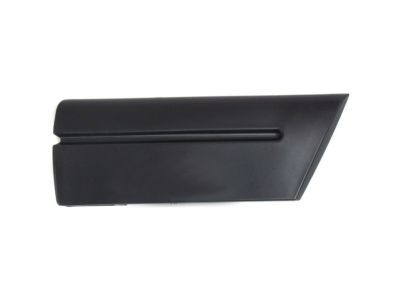 Ford 5W7Z-16036-APTM Body Side Molding