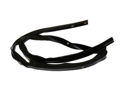 Ford 8L2Z-78253A45-A Lower Seal Strip