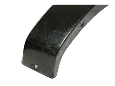 Ford 6L2Z-16038-CAPTM Wheel Opening Molding