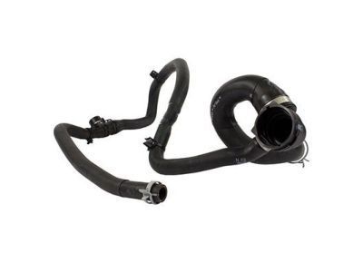 Ford DV6Z-8286-A Upper Hose