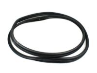 OEM Mercury Weatherstrip On Body - 9G1Z-5420708-B