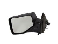 OEM 2010 Ford Ranger Mirror Assembly - 8L5Z-17683-DA