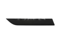 OEM 2002 Ford Focus Body Side Molding - 5S4Z-6129076-AAPTM