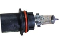 OEM Mercury Lynx Bulb & Retainer - E5LY-13N021-A