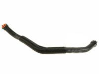 OEM 2001 Ford Focus Reservoir Hose - 2M5Z-3691-AA