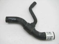 OEM 1999 Ford Mustang Lower Hose - F6ZZ-8286-C